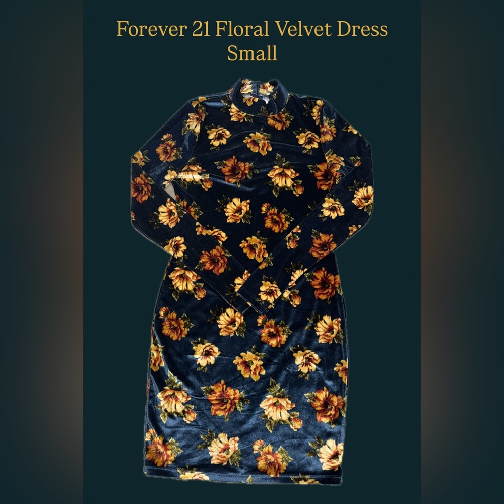 Blue Floral Velvet Dress
